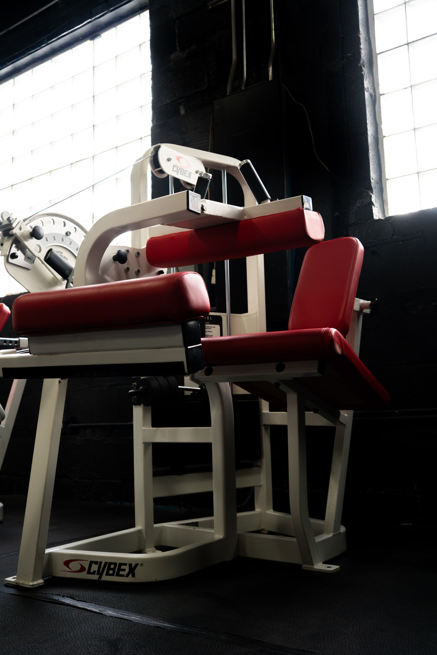 Cybex Hamstring Curl